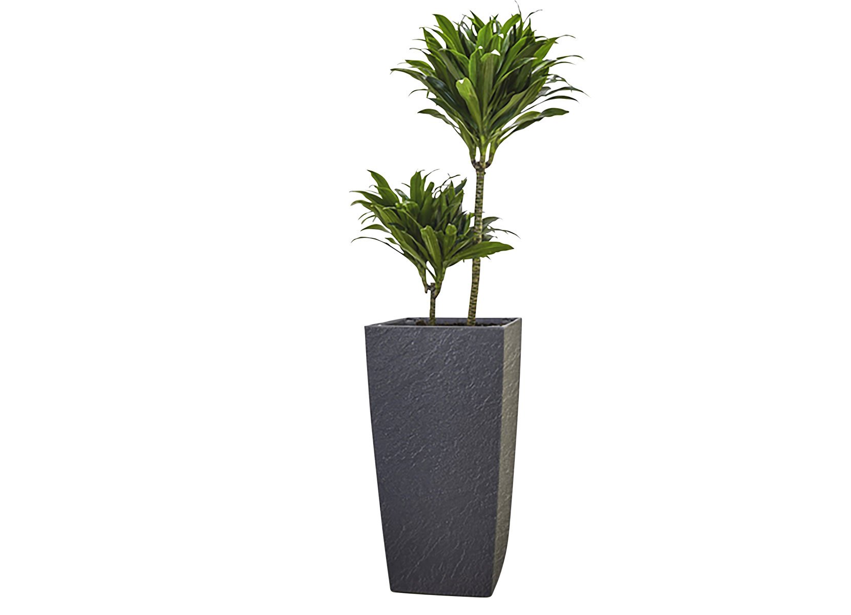 Pflanztopf ELIOT STONE mit Einsatz 24x46,5x24cm Anthrazit